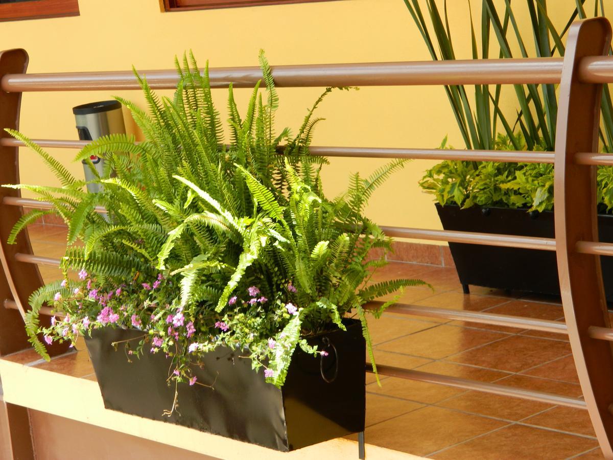 Hotel Plaza Bernal Luaran gambar